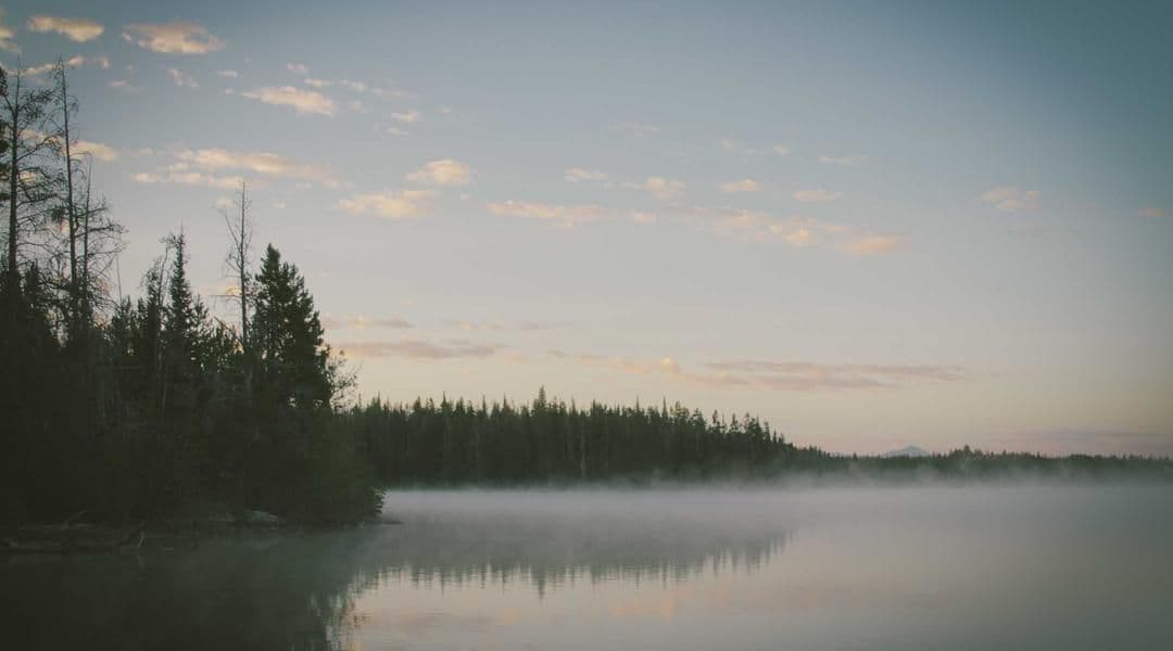 https://bucket.mmb.hospo.sk/strapi-uploads/6_jpg_d0a4bc38f0.jpeg