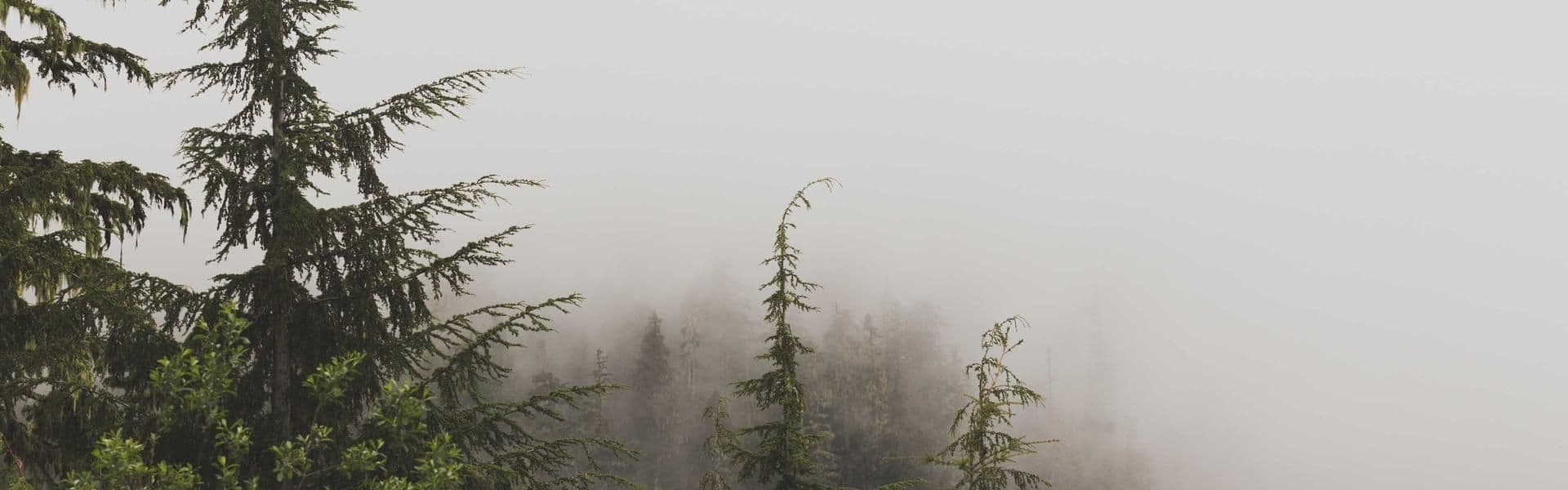 https://bucket.mmb.hospo.sk/strapi-uploads/5_jpg_915ea01ea2.jpeg